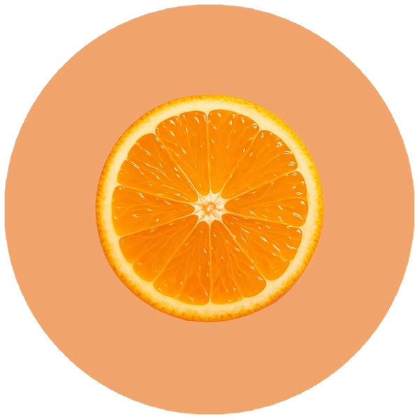 Orange slice for orange-flavored tiramisu Preludio di Dilettamisù in Costabissara, Vicenza
